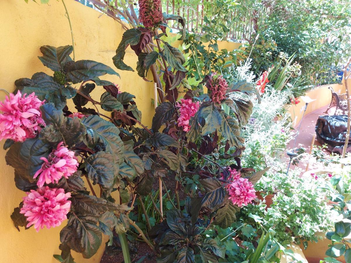 Casa Maestro Lelo - Acogedora Casa Rural Canaria Con Patios Y Jardines De Flores لاس بالماس دي غران كاناريا المظهر الخارجي الصورة