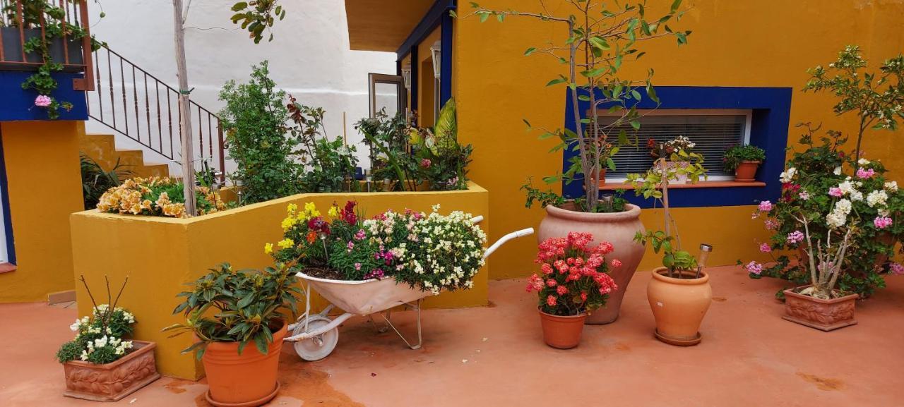 Casa Maestro Lelo - Acogedora Casa Rural Canaria Con Patios Y Jardines De Flores لاس بالماس دي غران كاناريا المظهر الخارجي الصورة