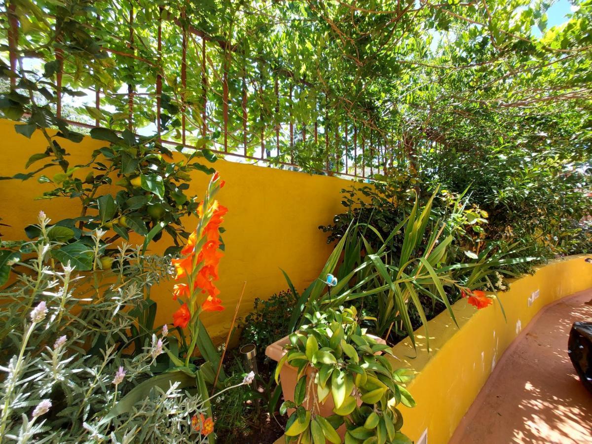 Casa Maestro Lelo - Acogedora Casa Rural Canaria Con Patios Y Jardines De Flores لاس بالماس دي غران كاناريا المظهر الخارجي الصورة